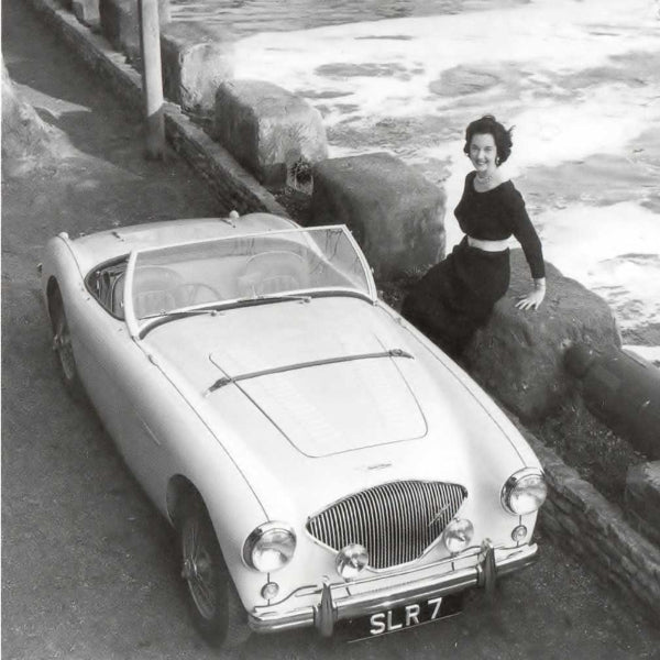 Austin Healey 100M